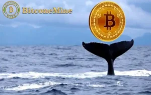 BitconeMine